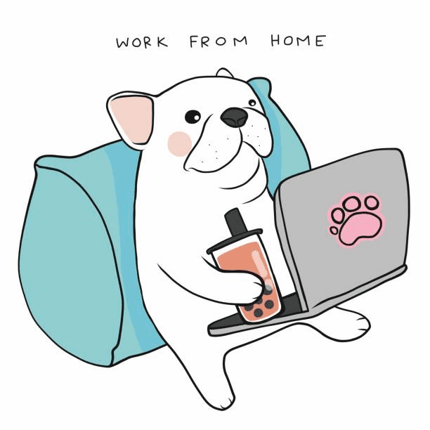 A dog laying on a pillow with a laptop sipping on boba doing work